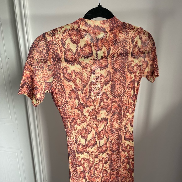 Mesh Dress - Picture 4 of 4